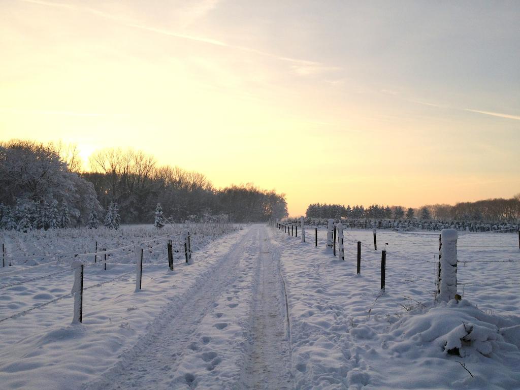 Bed & Breakfast Roodbeekerhof
